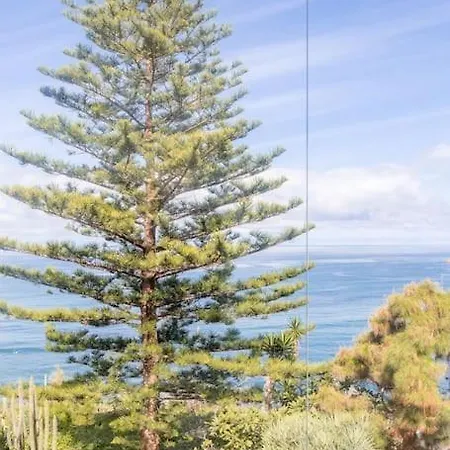 Apartment Coastal Vista: Retreat In Nature